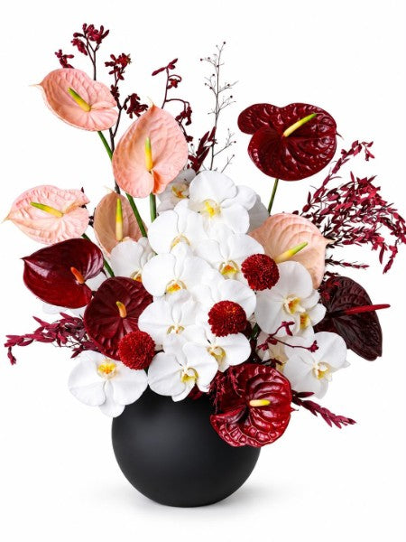 Crimson and ivory anthurium bouquet with white orchids in a matte black vase